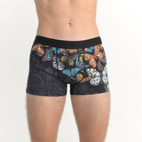 沖縄の蝶 pokke104