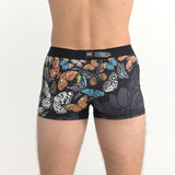 沖縄の蝶 pokke104