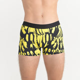 島バナナ(バサナイ)