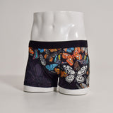 沖縄の蝶 pokke104