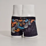 沖縄の蝶 pokke104